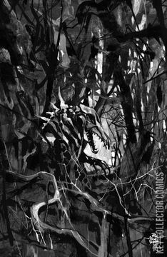 Variant Cover for Kroma #2