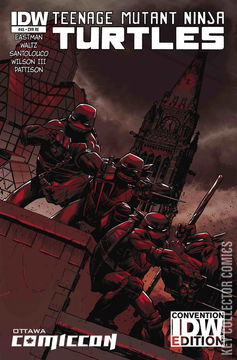 Variant Cover for Teenage Mutant Ninja Turtles #45