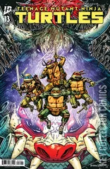 Cover for Teenage Mutant Ninja Turtles #13
