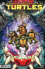 Variant Cover for Teenage Mutant Ninja Turtles #13