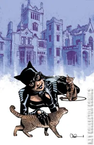 Catwoman #91