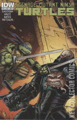 Variant Cover for Teenage Mutant Ninja Turtles #20