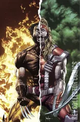Variant Cover for Wolverine #3