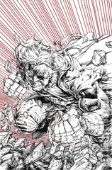 Variant Cover for Final Boss #4