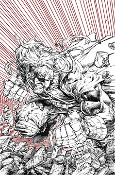 Variant Cover for Final Boss #4