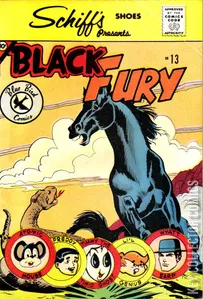 Black Fury #13