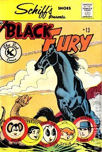 Black Fury #13