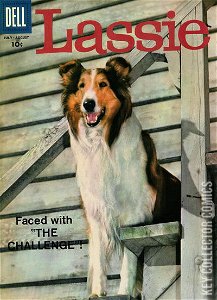 Lassie #41