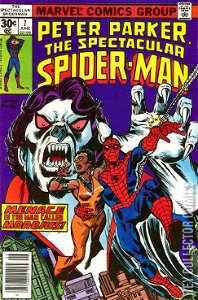 Peter Parker: The Spectacular Spider-Man
