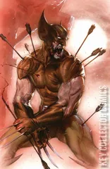 Variant Cover for Return of Wolverine #2