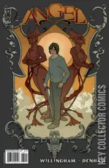 Cover for Angel: After the Fall #30