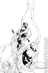 Variant Cover for SilverHawks #4