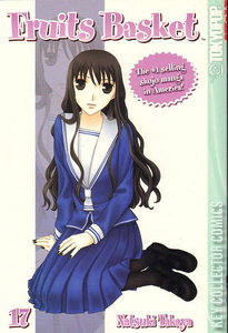 Fruits Basket #17