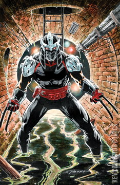 Variant Cover for Teenage Mutant Ninja Turtles: Shredder #10
