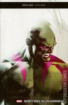 Variant Cover for Infinity Wars: Fallen Guardian #1