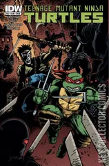 Variant Cover for Teenage Mutant Ninja Turtles #22