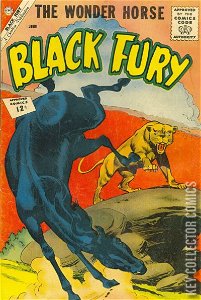 Black Fury #36