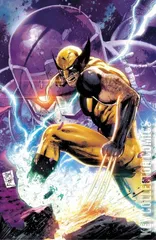 Variant Cover for Wolverine #24