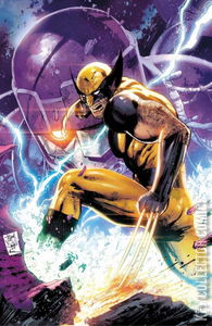 Wolverine #24 