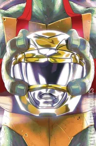 Mighty Morphin Power Rangers / Teenage Mutant Ninja Turtles #2