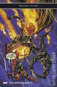 Black Panther vs. Deadpool #3