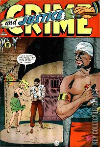 Crime and Justice #13