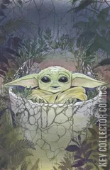 Variant Cover for Star Wars: The Mandalorian #4