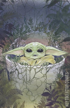 Variant Cover for Star Wars: The Mandalorian #4