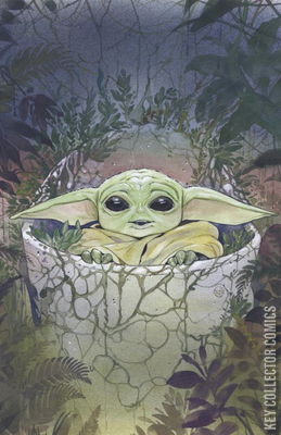 Star Wars: The Mandalorian