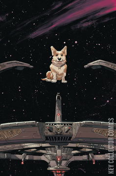 Variant Cover for Star Trek: Deep Space Nine -  The Dog of War #5