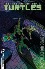 Cover for Teenage Mutant Ninja Turtles #12