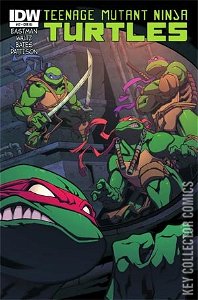 Teenage Mutant Ninja Turtles #20 