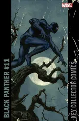 Variant Cover for Black Panther #11