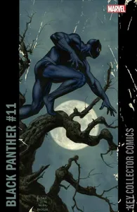 Black Panther #11