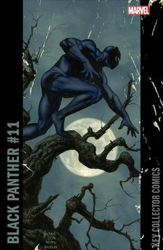 Variant Cover for Black Panther #11