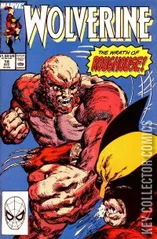 Cover for Wolverine #18