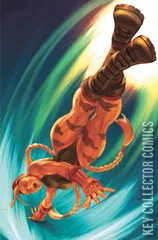Variant Cover for Street Fighter #11