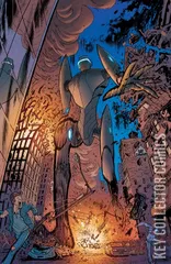 Variant Cover for Radiant Black #20