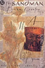 Cover for The Sandman #19