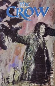 Crow #8