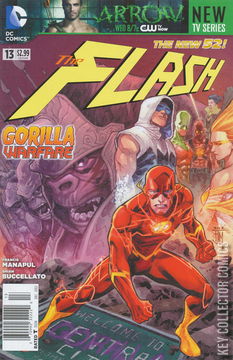 Variant Cover for Flash #13