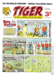Tiger #41