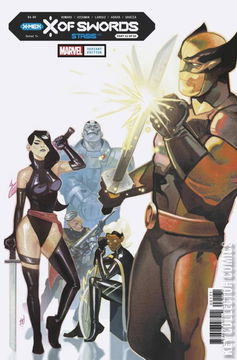 Variant Cover for X of Swords: Stasis #1