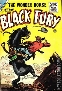 Black Fury #4