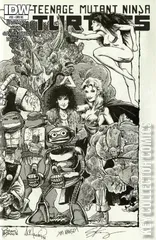 Variant Cover for Teenage Mutant Ninja Turtles #33