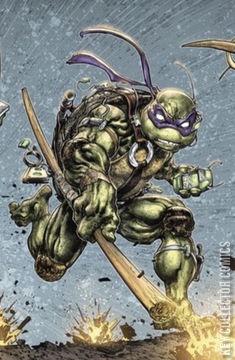 Variant Cover for Teenage Mutant Ninja Turtles #111