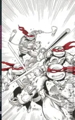 Variant Cover for Teenage Mutant Ninja Turtles #75