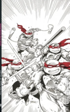Variant Cover for Teenage Mutant Ninja Turtles #75