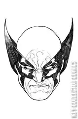 Variant Cover for Wolverine #45