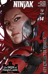 Cover for Ninjak #14